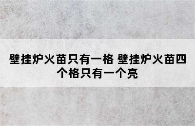 壁挂炉火苗只有一格 壁挂炉火苗四个格只有一个亮